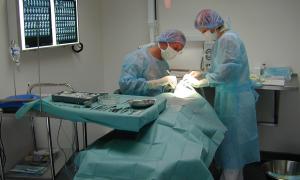 Le_bloc_chirurgie-dentiste-chemillé-melay-1